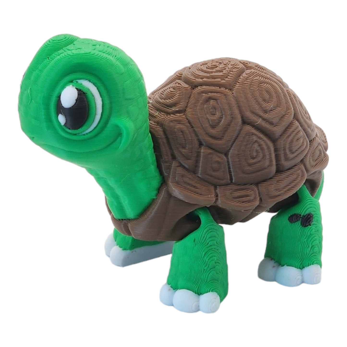Turtley the Adorable Turtle