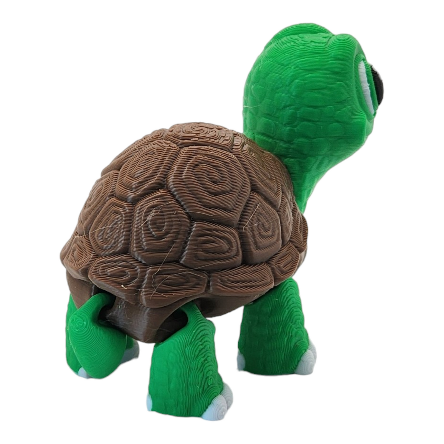 Turtley the Adorable Turtle