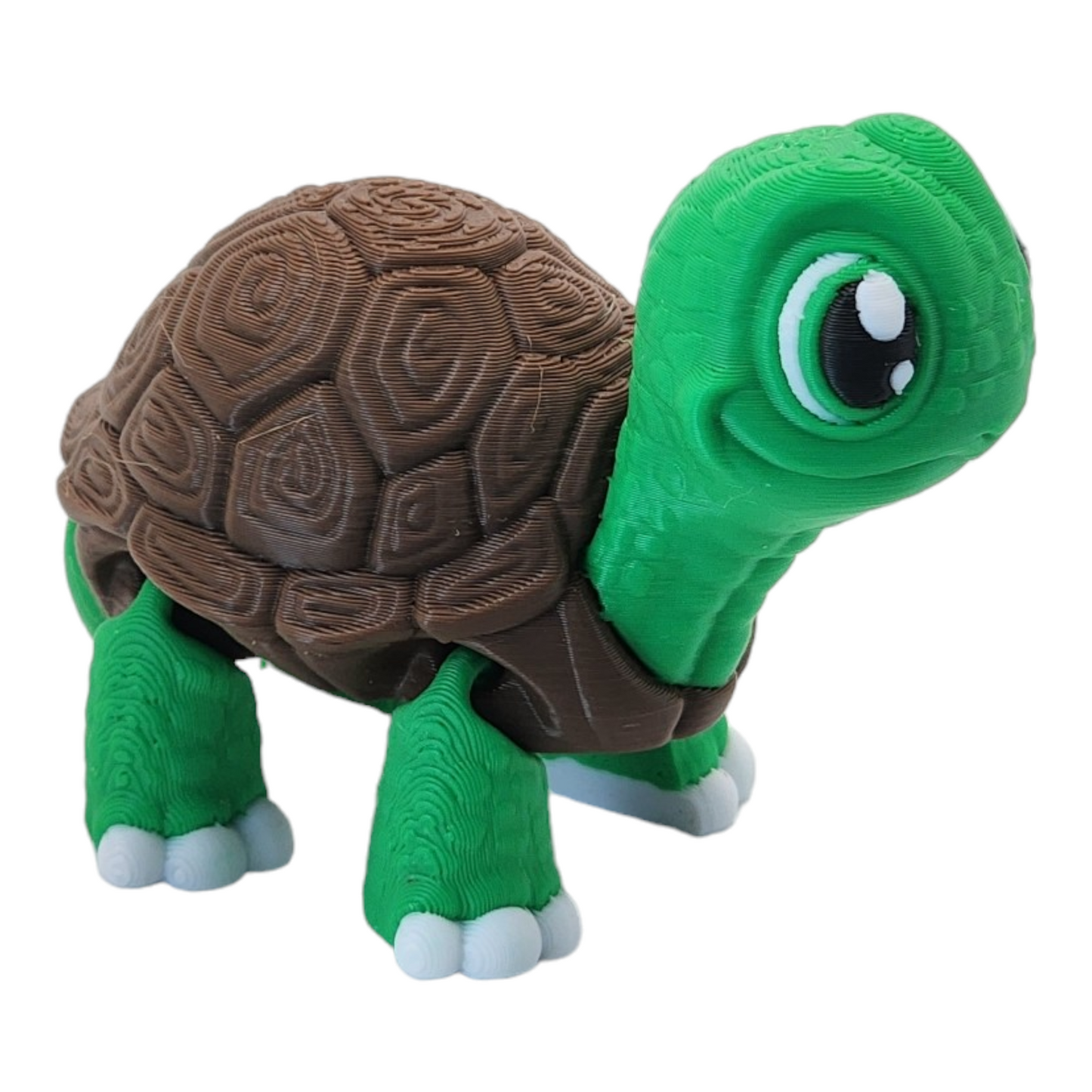 Turtley the Adorable Turtle