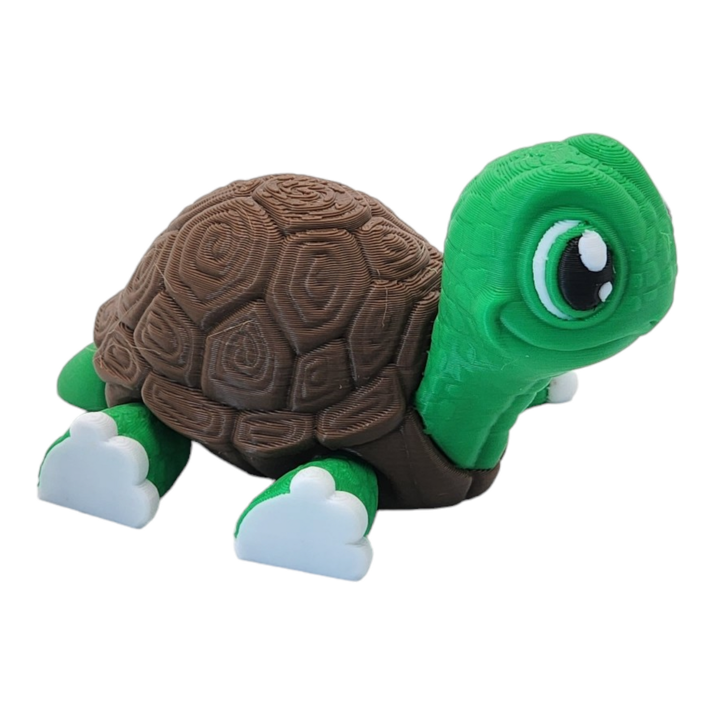 Turtley the Adorable Turtle
