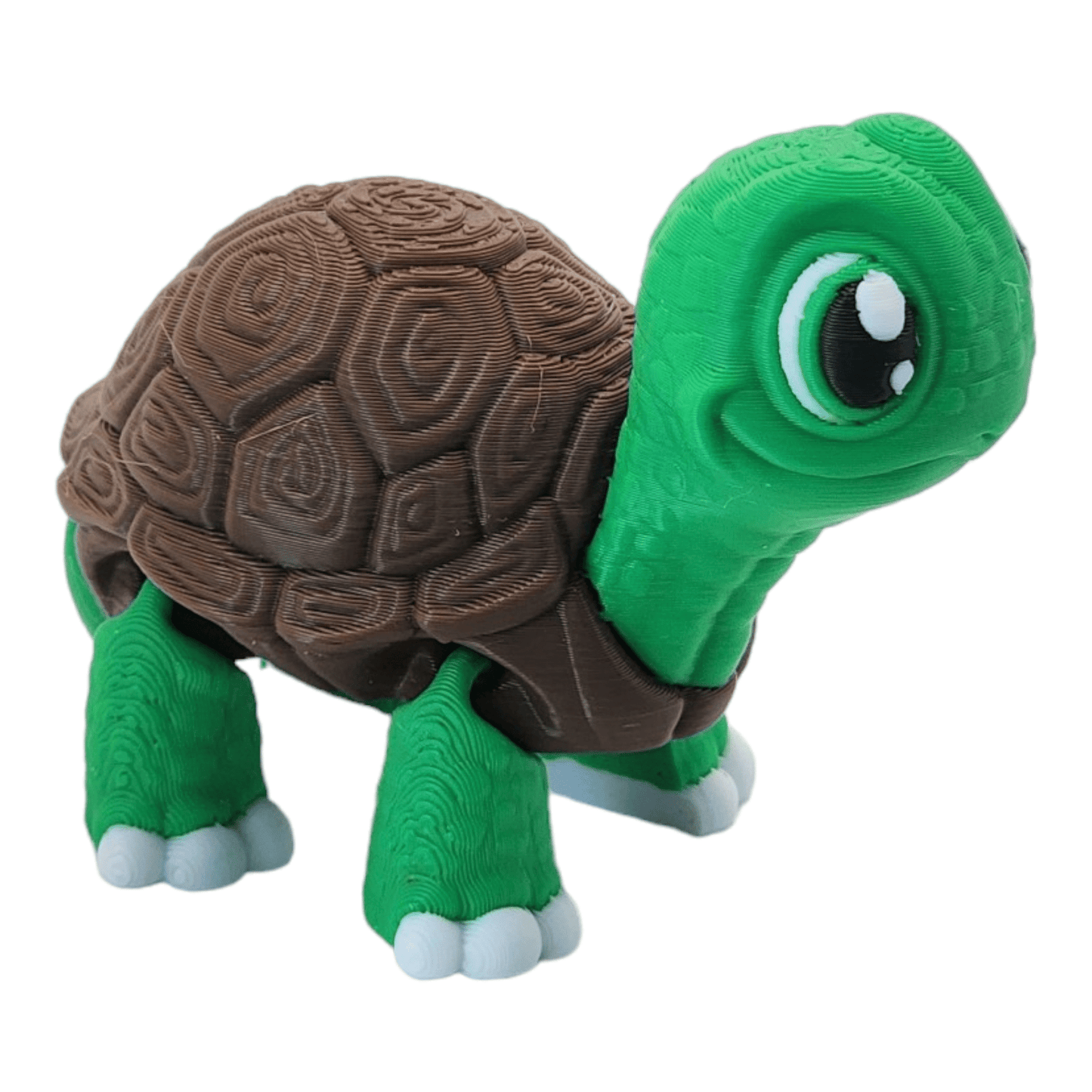 Turtley the Adorable Turtle - Printed Dreams -