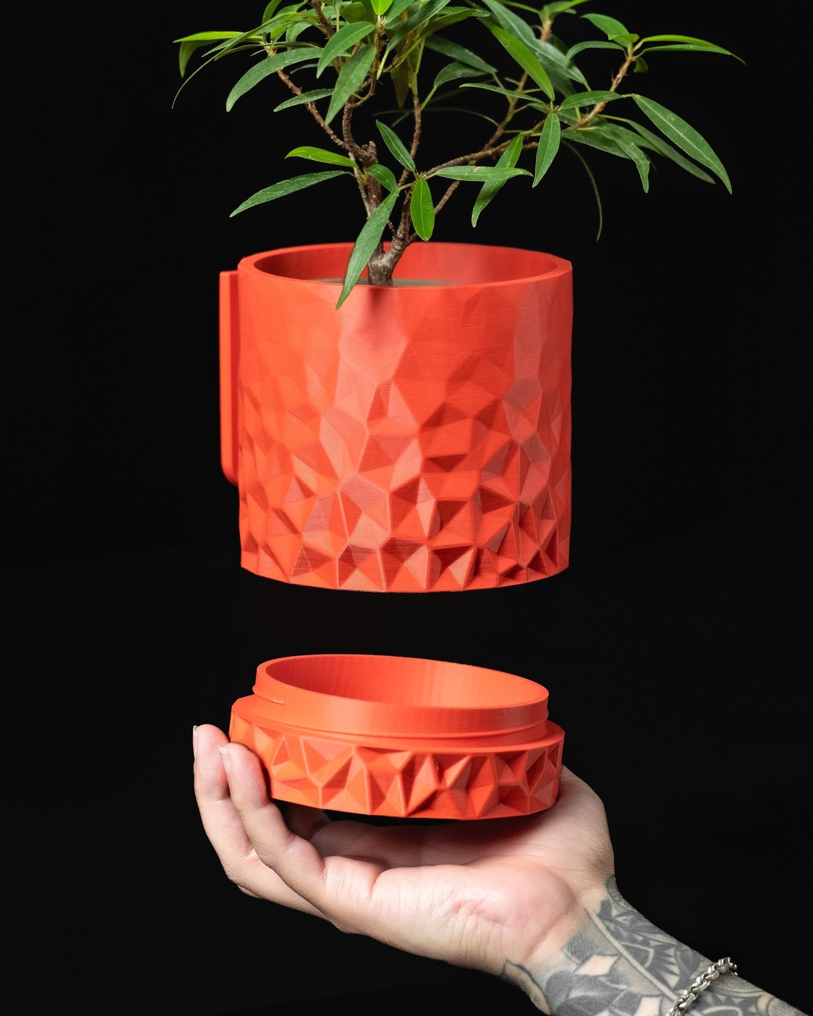 3D Printed Wall Planter | Bundle & Save | Modern Decor - Printed Dreams - 