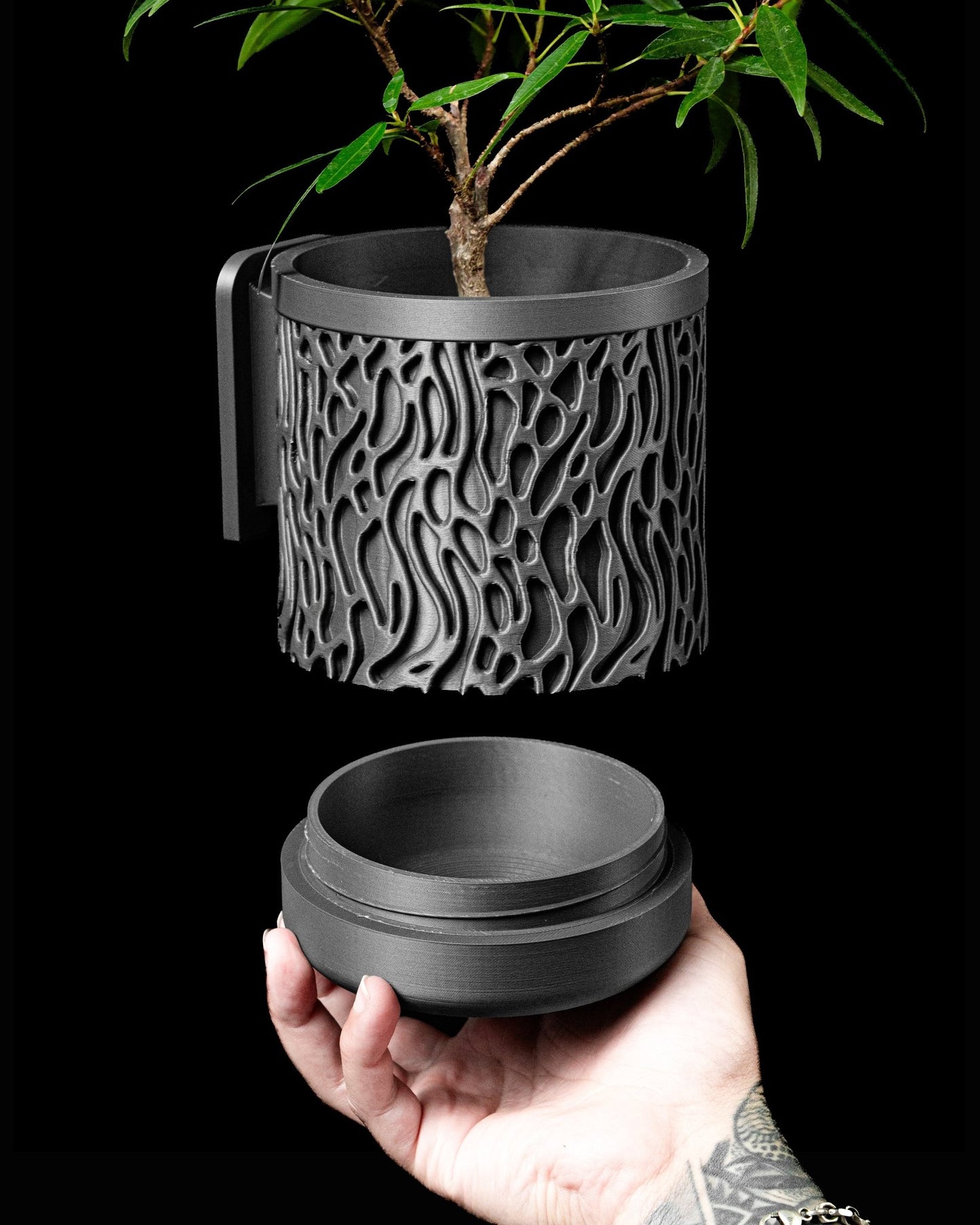 3D Printed Wall Planter | Bundle & Save | Modern Decor - Printed Dreams - 
