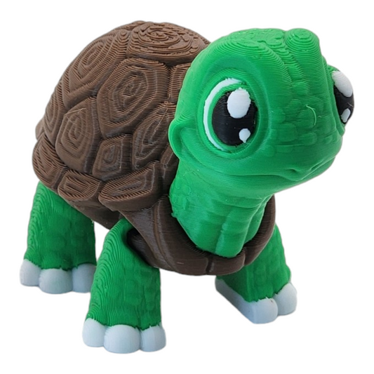 Turtley the Adorable Turtle