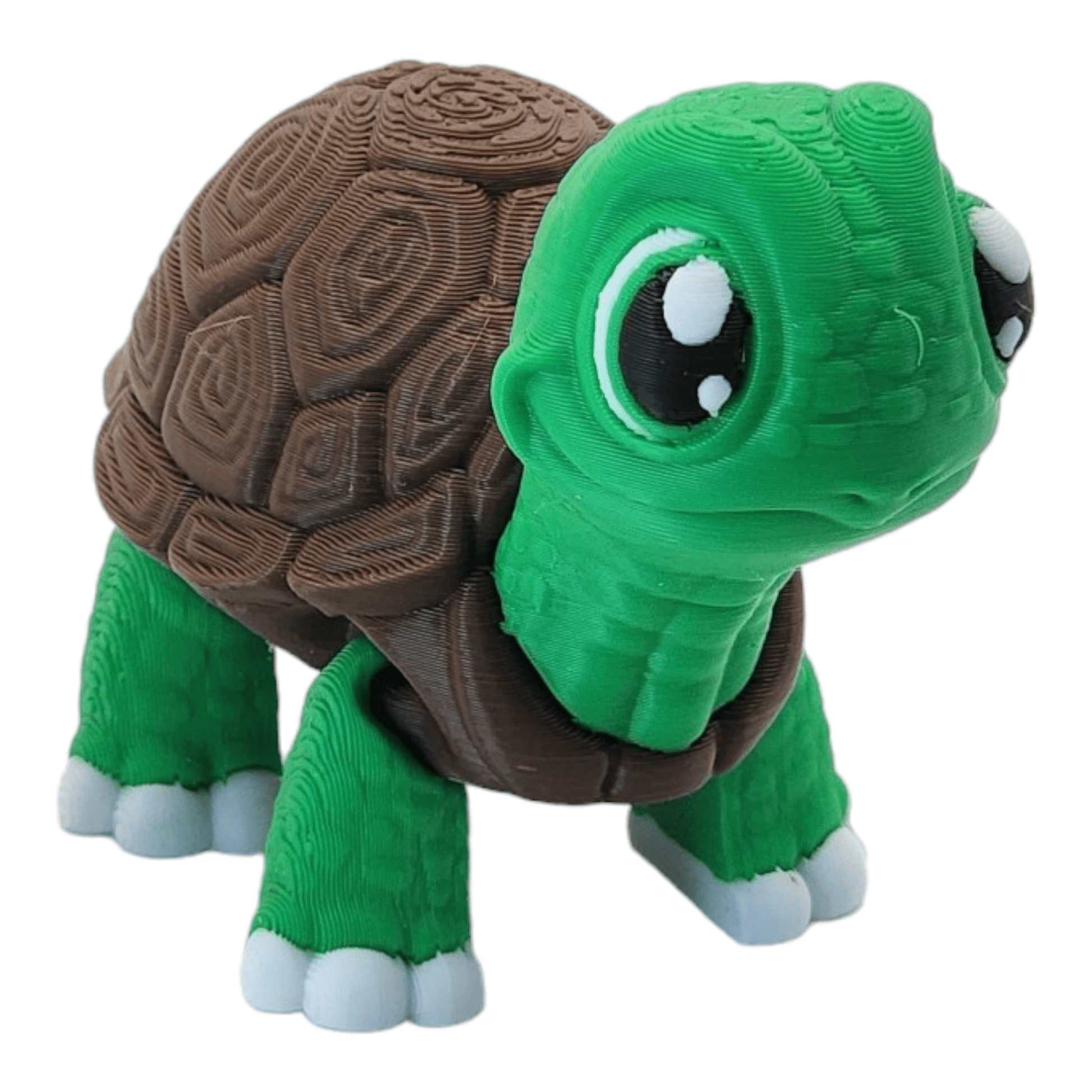 Turtley the Adorable Turtle - Printed Dreams - 